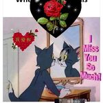 Thinley Dolma - @thinley.dolma.5015 - Instagram