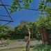 Thinley Dolma - Facebook