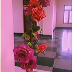 Thinley Dolma - @thinley3548 - Instagram