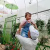 Tho Duong - @tho_imex3tracu - TikTok