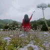 Tho Duong - @tho.duong807 - TikTok