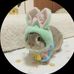 Thỏ hân - Facebook