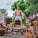 Tho Han Bwar - Facebook