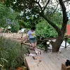 Thảo Ly 81M1 - @tho.ly496 - TikTok