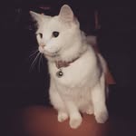 Tho Tu - @tho__.tu - Instagram