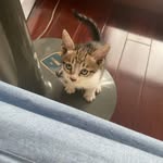 Thoa Bui - @thoa.bui.184 - Instagram