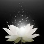 Thoa Duong - @thoaduong398 - Instagram