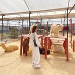Thoa Hoàng - @ki.thoa - Instagram