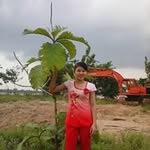 Thoa Le - @thoa4511 - Instagram