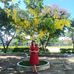 Thoa Le - Facebook