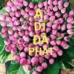 Thoa Lương - @thoa2927 - Instagram