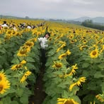 Thoa Lương - Facebook