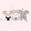 THỎ ANGORA Ở ĐÂY CÓ BÁN 🐰🥕 - @thoangoravietnam - TikTok
