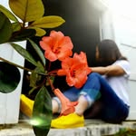 Thoa Ngo - @thaonguyenxanh3442 - Instagram