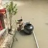 Thoa Ngo - @ngothikimthoa4762 - TikTok