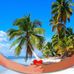 Thoa Pham - Facebook