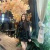 Thoa Phạm - @thoapham02022005 - TikTok