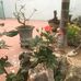 Thoa Pham - Facebook