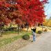 Thoa Pham - Facebook