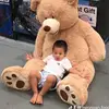 Thoa Vũ - @thoavu.151164 - TikTok