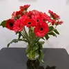 Thoa Vũ - @thoaaavu - TikTok