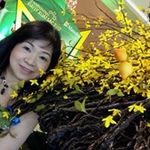 Thoa Vu - @thoa1509 - Instagram