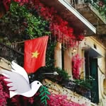 Thoa Vu - @thoa.vu - Instagram