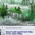 Thoai Lam - Facebook