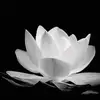 Thoai Lam - @thoai.lam2 - TikTok