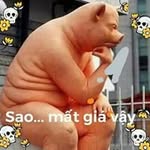 Thoai Vu - @thoai.vu.908 - Instagram
