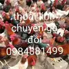 Thoai Vu - @thoai.vu7 - TikTok