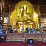 Thoai Vu - @thoai.vu.39904181 - Instagram