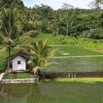 Thoai Vu van Thoai - @thoaivuvanthoai - Instagram