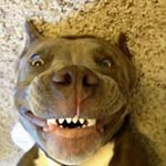 vu thoai - @vuthoai0350 - Instagram