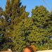Thobeka Hadebe - Facebook