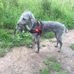 Thom Bennett - Facebook