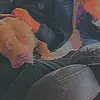 Tom Cross - @tom.cross1 - TikTok