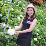 Thom Dao - Facebook