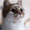 Thom Dao - @thm1479 - TikTok