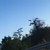 thommmmann15 - @thommmmann15 - TikTok