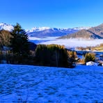 Tom Mann - Facebook