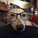 Thom Smith - Facebook