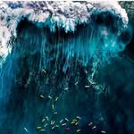 Thomas Adamson - @adamsonphotography - Instagram
