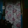 thomasadomako100 - @thomasadomako100 - TikTok
