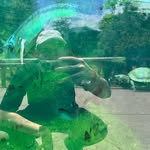 Thomas Hartill - @thomasahartill - Instagram