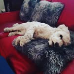 Thomas Aichele - @trece607 - Instagram