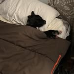 Michael Thomas Aikens - @mickglitch - Instagram