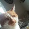 thomasrobertaikin - @thomasrobertaikin - TikTok