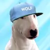 alan - @alan.thomas - TikTok