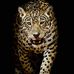Tomás Alaniz - Facebook